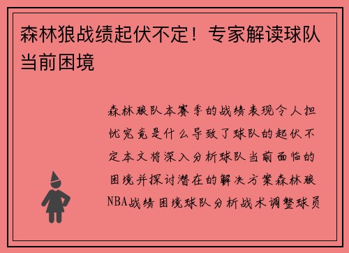 森林狼战绩起伏不定！专家解读球队当前困境